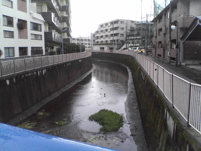 b0167999_0152371.jpg