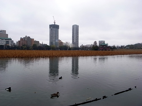 e0043700_2031273.jpg