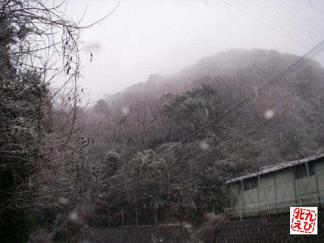 b0175402_23111463.jpg