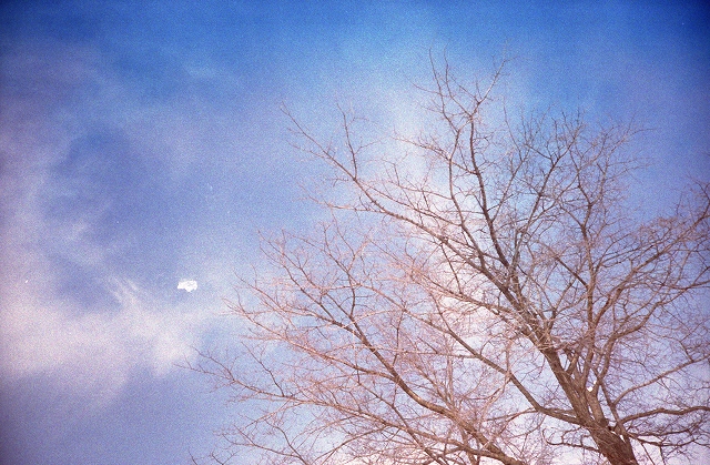c0202705_22235562.jpg
