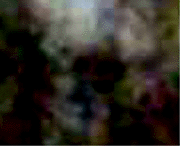e0103408_1211157.gif