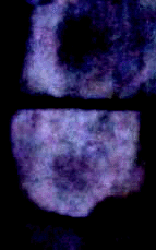 e0103408_1211317.gif
