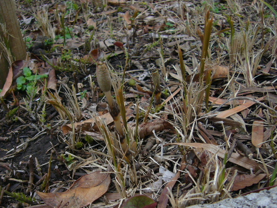 e0130008_21434667.jpg