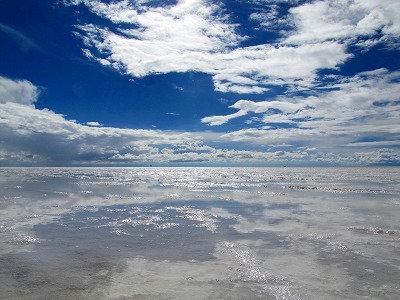 b0051109_494746.jpg