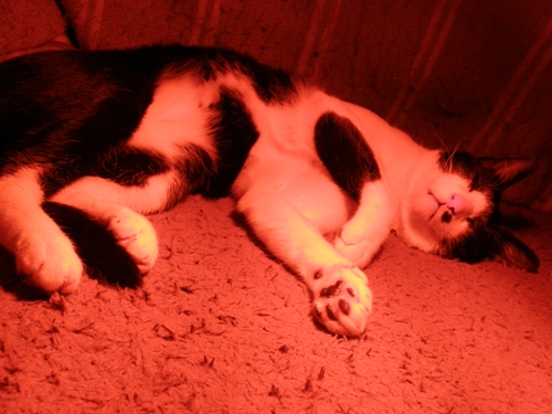 c0158916_21411774.jpg