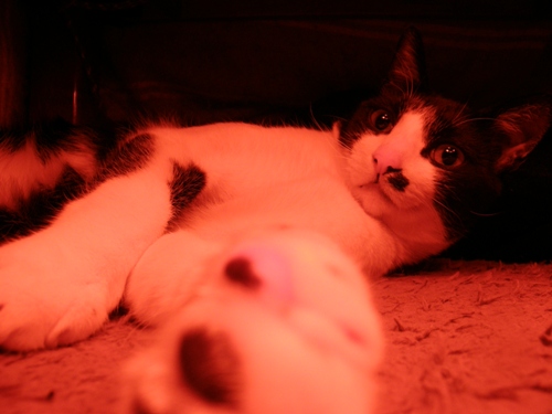 c0158916_214281.jpg