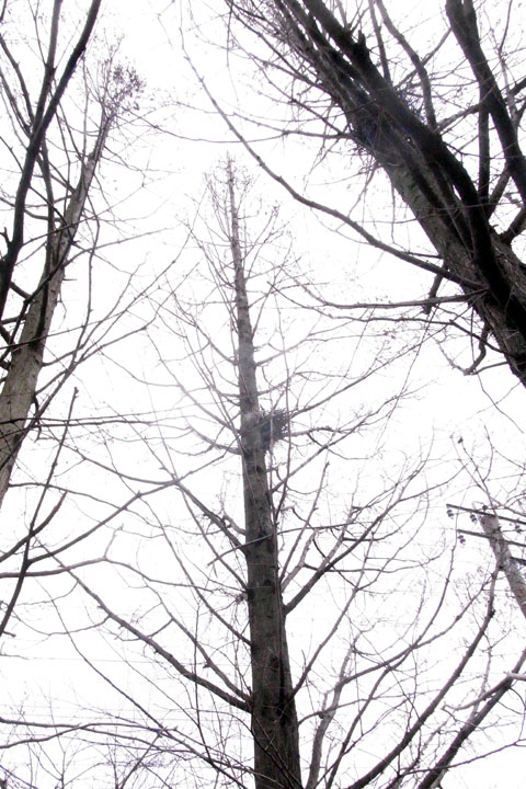 e0083517_1831483.jpg