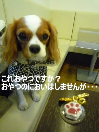 f0214121_23111429.jpg