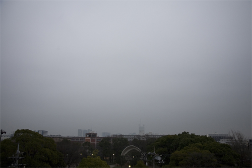 c0182022_10123371.jpg