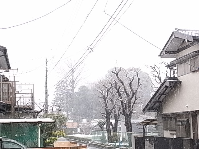 e0130722_18552448.jpg