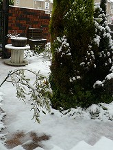 c0148425_18162440.jpg