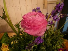 c0148425_185381.jpg