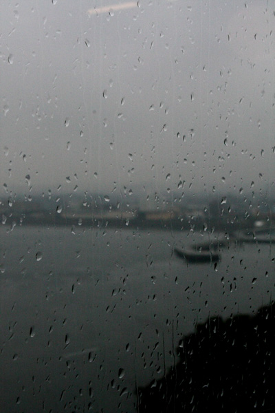 a0133227_0502458.jpg