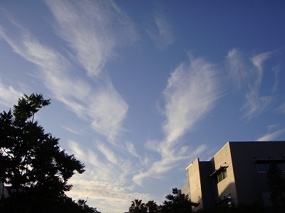 b0055835_21412417.jpg