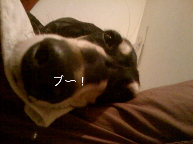f0039538_19324835.jpg