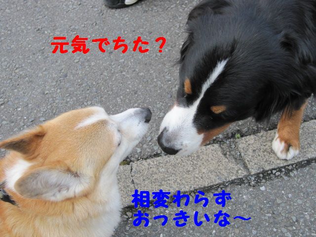 a0108146_19555260.jpg