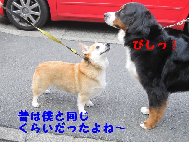 a0108146_19571029.jpg