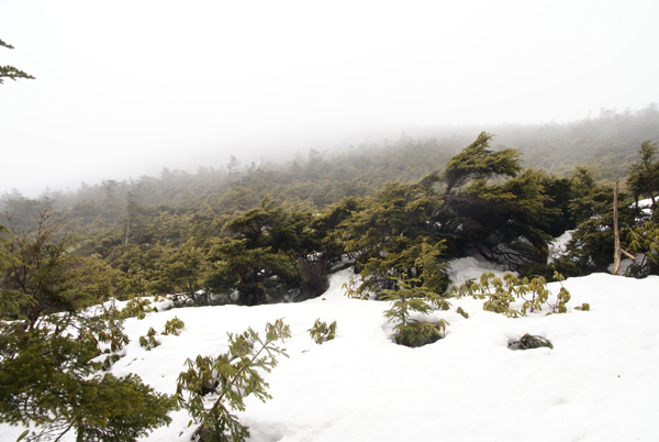 f0214649_2157851.jpg