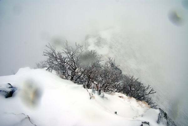 f0214649_22172786.jpg