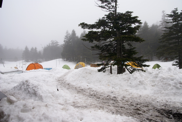 f0214649_2232165.jpg