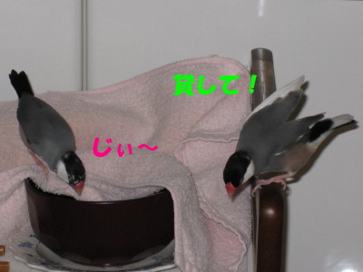b0158061_20393690.jpg