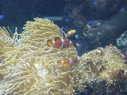 f0078361_23284737.jpg