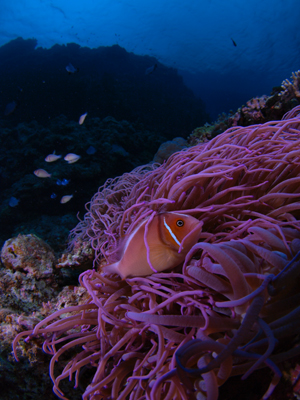 b0138768_8144455.jpg