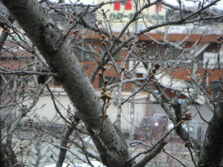 b0175571_10114636.jpg