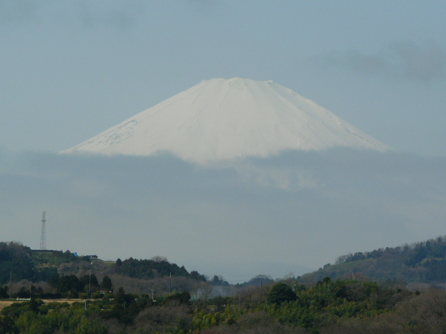 e0145782_16112941.jpg