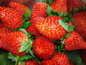 c0036690_13471047.jpg