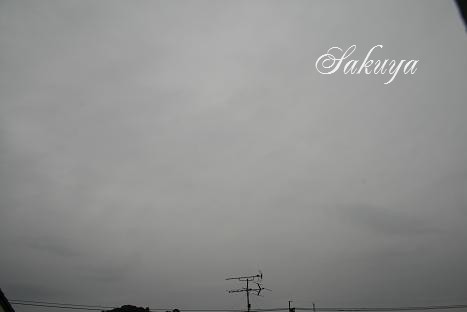 e0122194_10462331.jpg