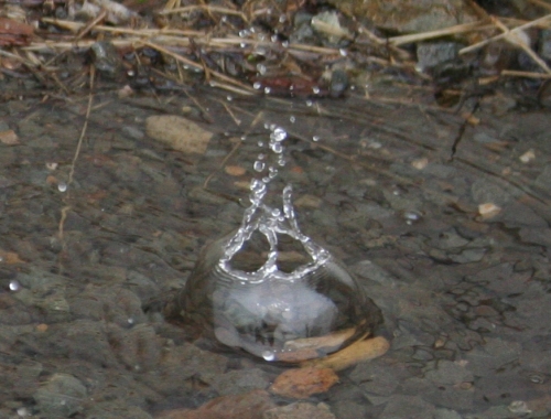 d0021097_00421.jpg