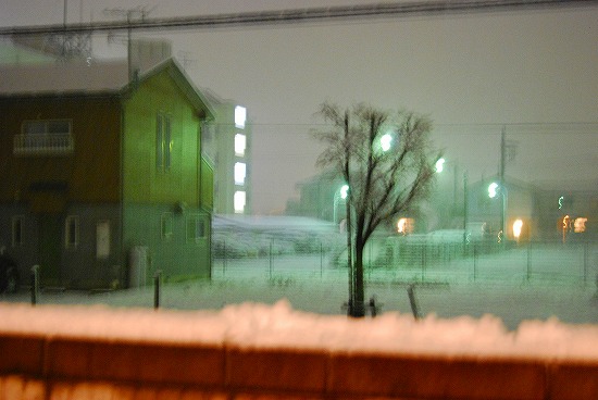 d0145798_22171523.jpg