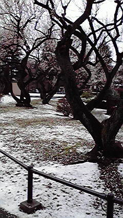 d0021500_14492367.jpg