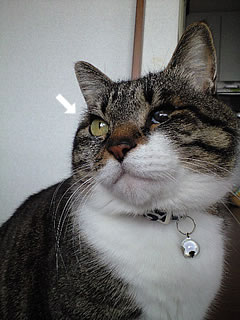 c0035001_1738737.jpg