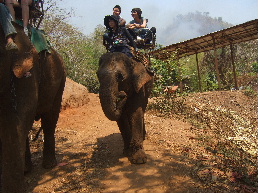 d0024504_16254324.jpg