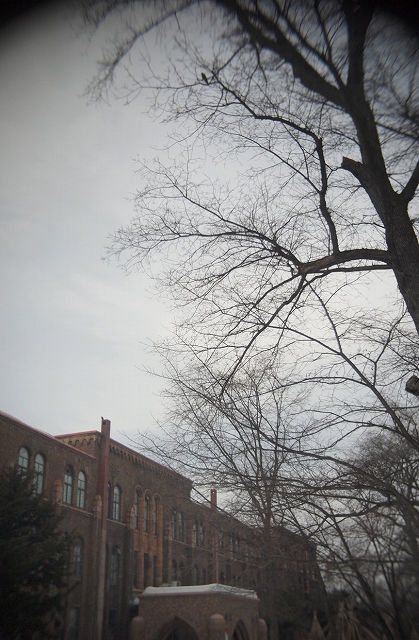 c0202705_19231777.jpg
