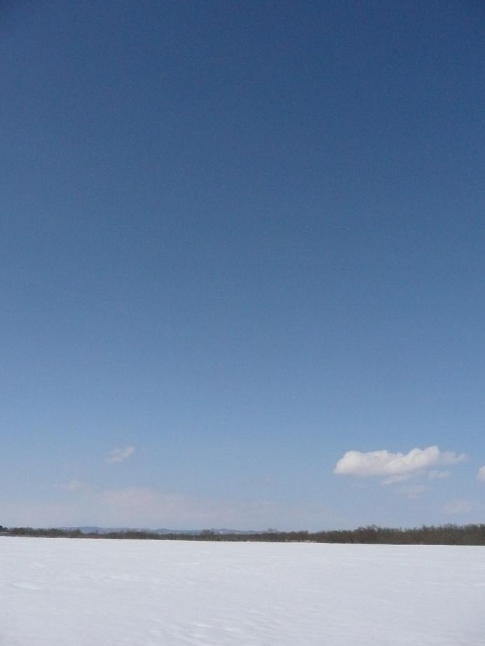 d0126708_06314.jpg