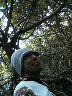 f0127408_0123924.jpg