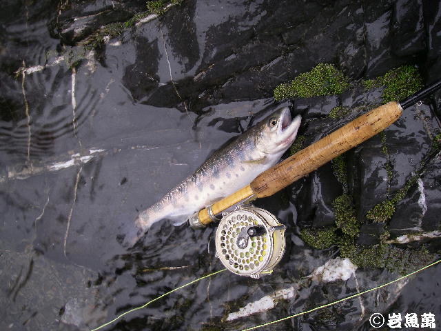b0172209_915533.jpg