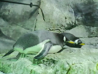 d0021810_2352962.jpg