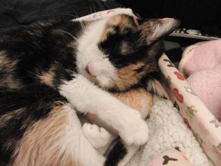 c0201113_2005877.jpg