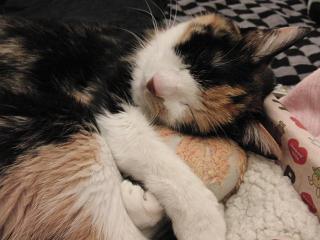 c0201113_2013542.jpg