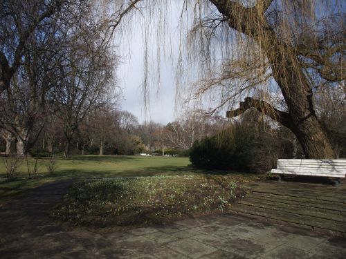 e0116315_8471869.jpg