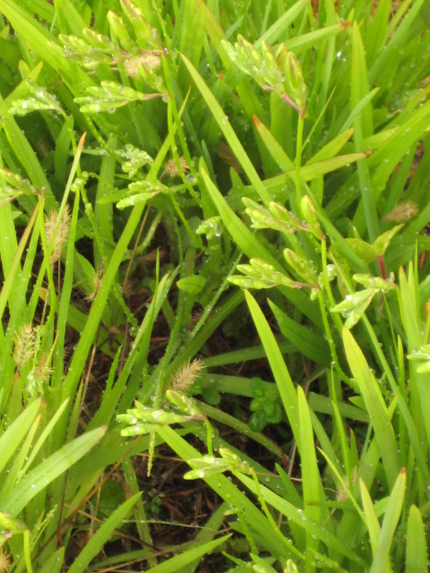 d0147727_2123269.jpg