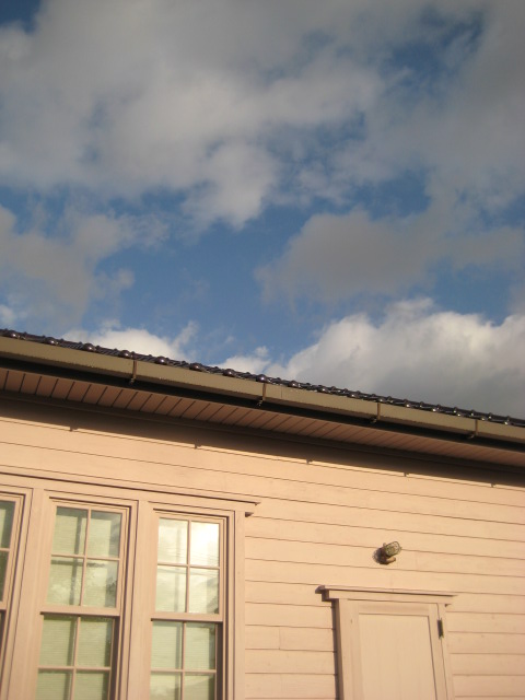 d0147727_212972.jpg
