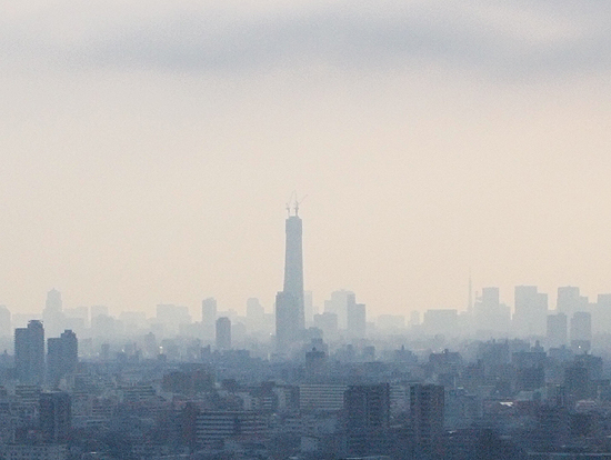 c0117831_2022350.jpg