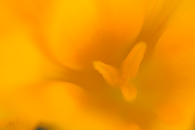 e0054635_9382617.jpg