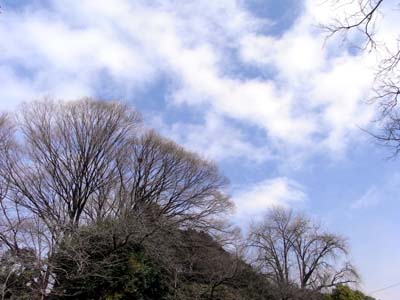 b0019140_12152630.jpg