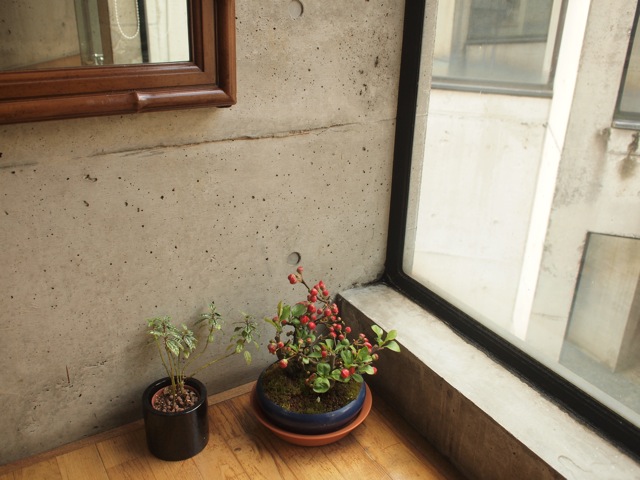 b0166144_231738.jpg